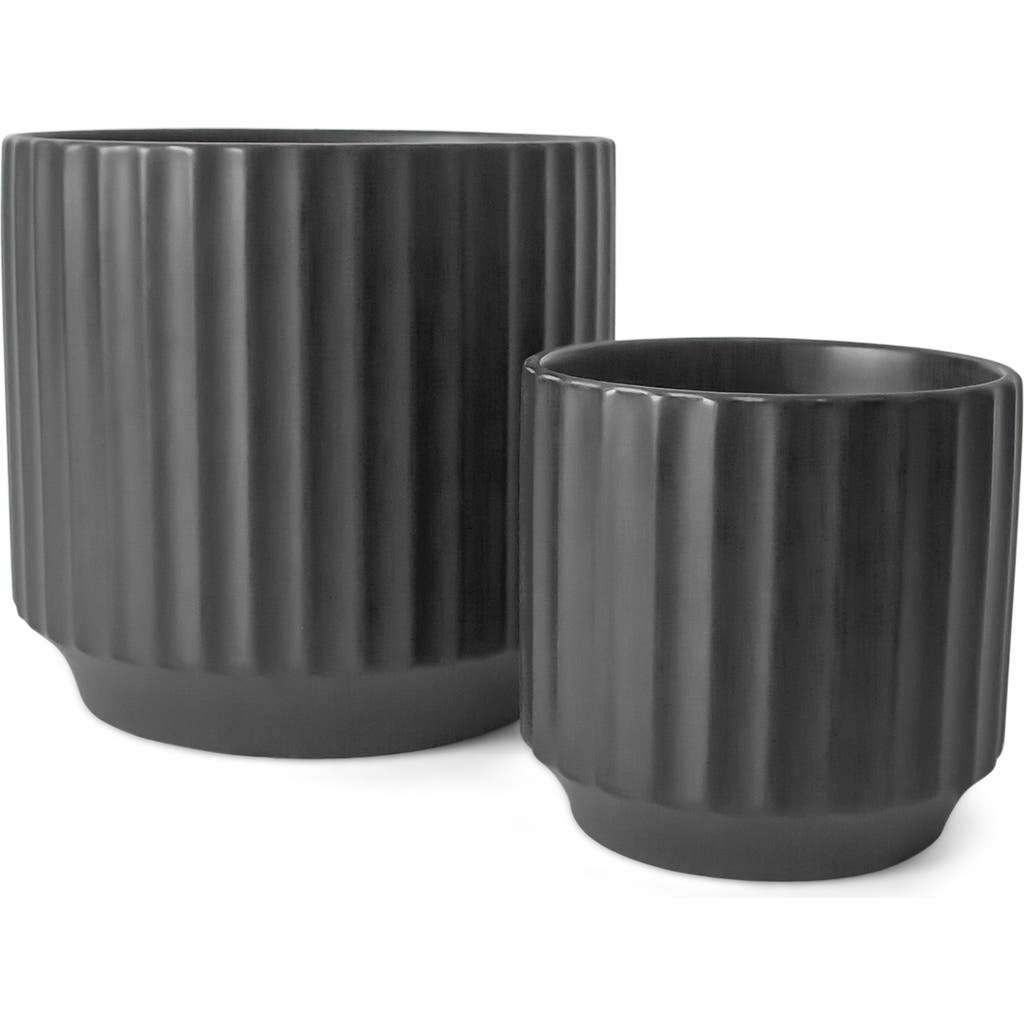 Jungle Club Monroe Planter In Black
