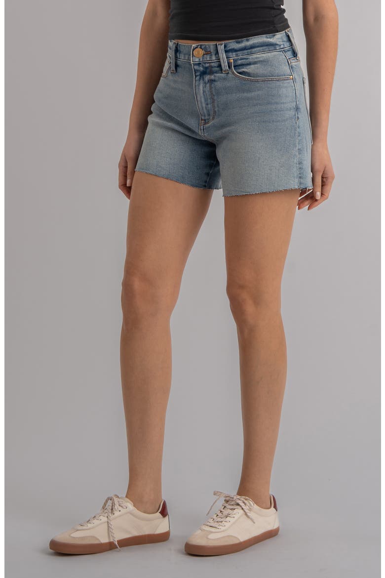 Jenny Raw Hem High Waist Denim Shorts, Alternate, color, REJOICE