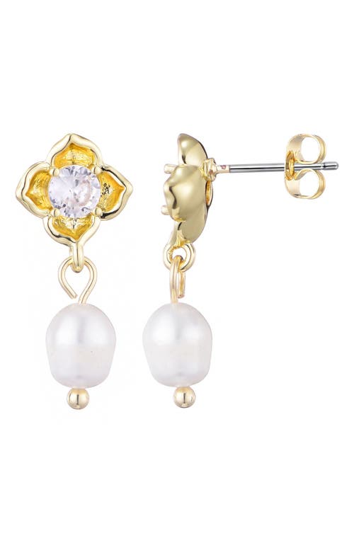 Adornia Crystal & Freshwater Pearl Drop Earrings In White
