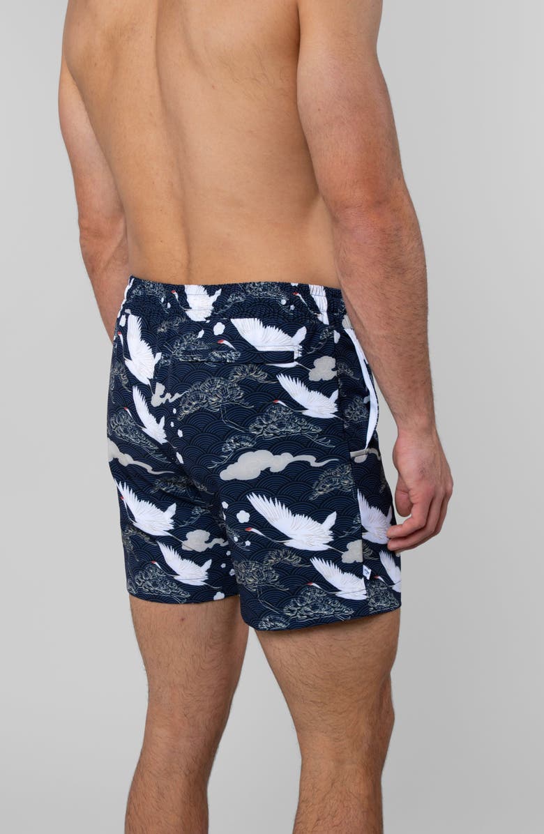 LEISURE LAB Swan Dive Swim Trunk, Alternate, color, Swan Dive