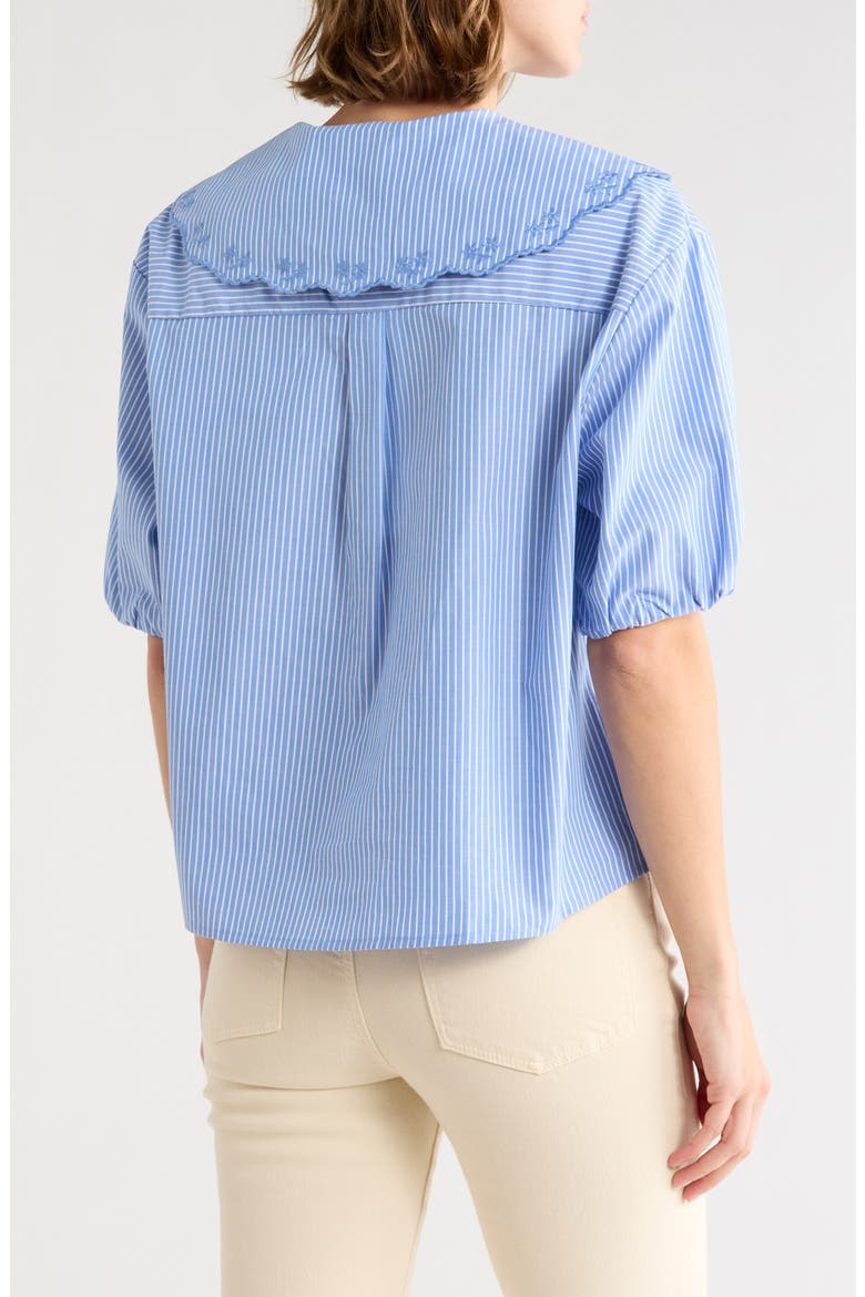 Embroidered Striped Shirt, Alternate, color, BLUE WITH WHITE STRIPES