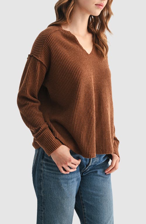 All In Favor All In Brown