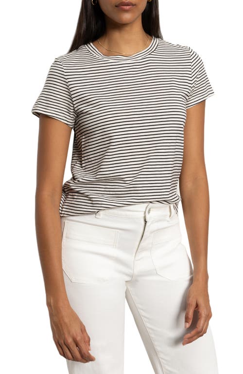 Sanctuary Women's Perfect Pull On T-shirt In Pumice Stone