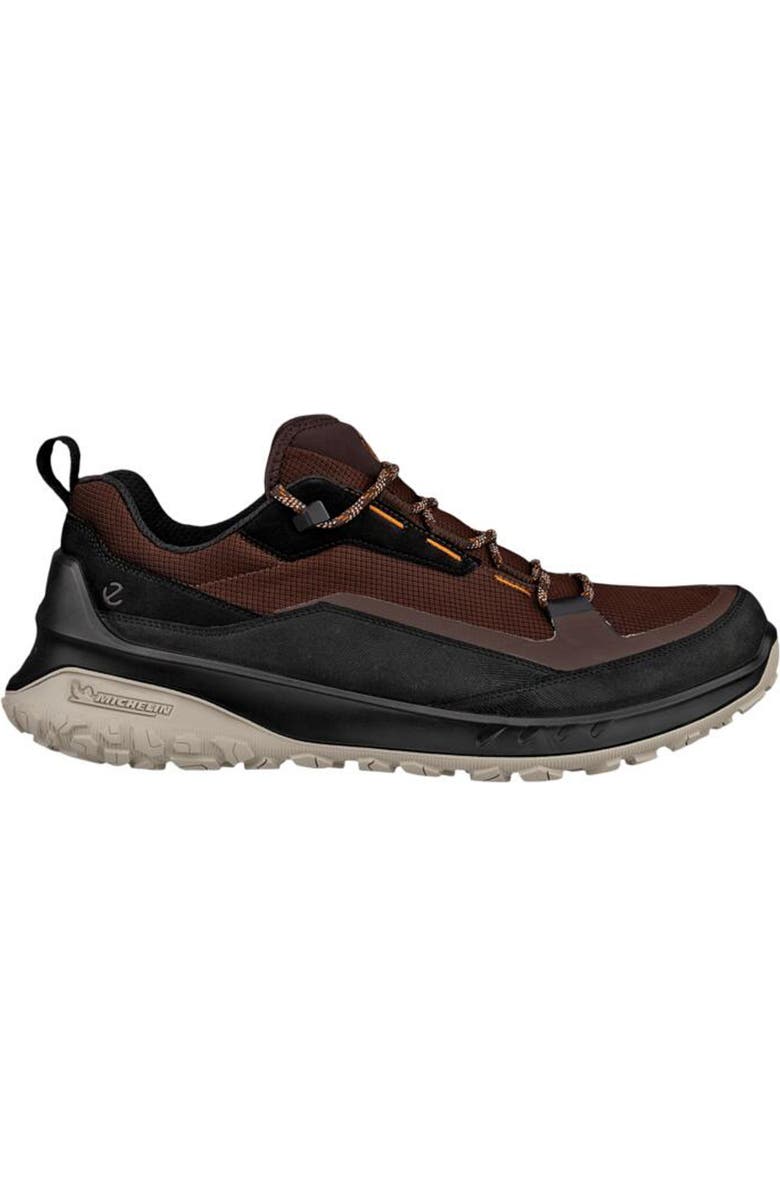 ECCO Ult-Trn Low Waterproof Hiking Shoe, Alternate, color, Black/ Mocha
