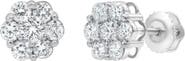 LuvMyJewelry Meadow 0.38 Ct TW Lab Grown Diamond Cluster Studs 14K Gold Earrings