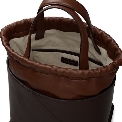 Radley The Portobello Small Drawstring Crossbody Bag In Brown