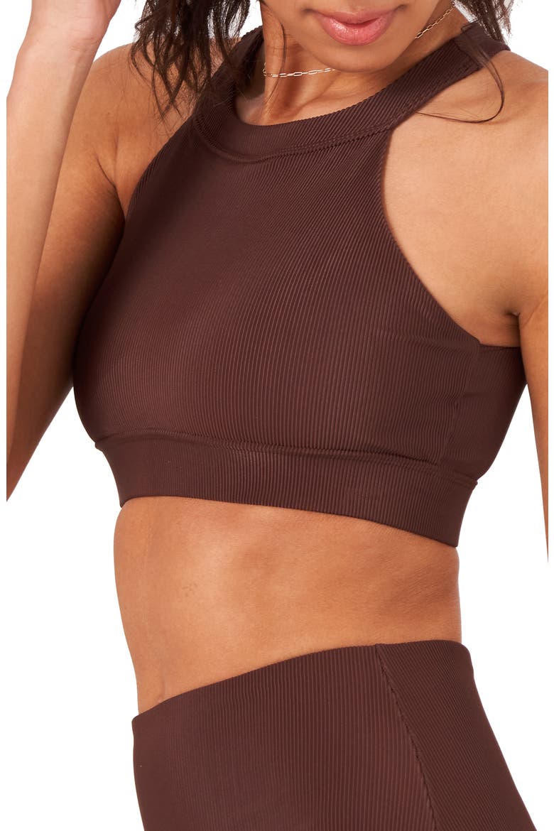 High Neck Crop Bra Top, Alternate, color, BROWN RIB