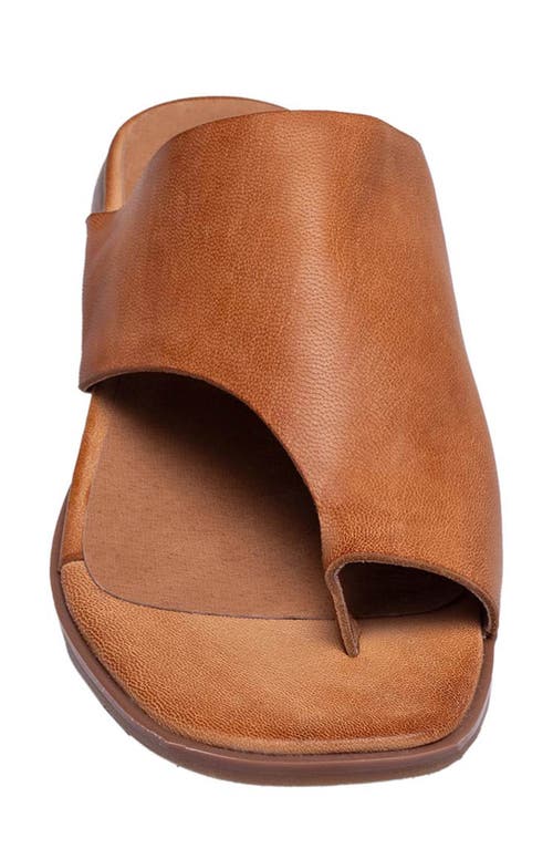 Antelope Laden Sandal In Taupe