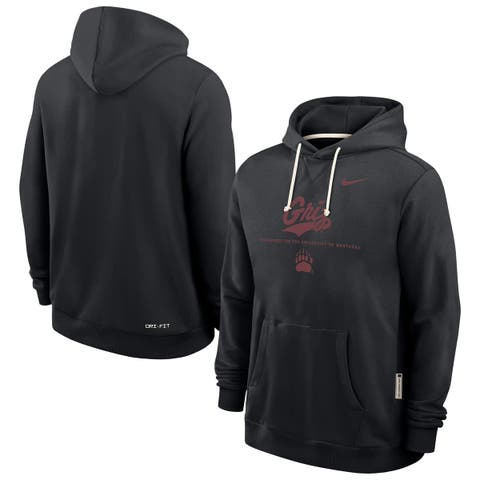 Men's Nike Black Montana Grizzlies 2025 Sideline Standard Issue Dri-FIT Hoodie