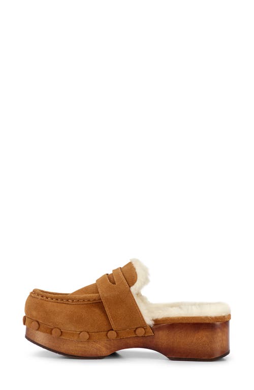 Frye Melody Genuine Shearling Lined Platform Clog In Brown