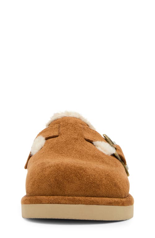 Steve Madden Kids' Jshilo Mule In Brown