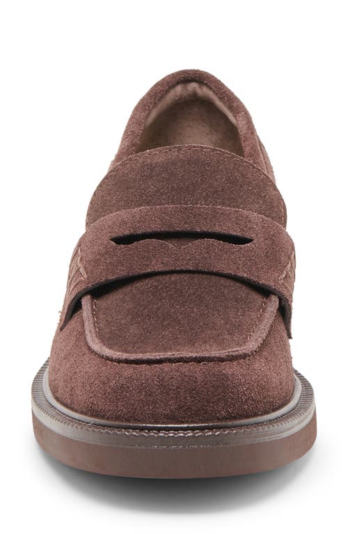 Dolce Vita Tiggy Loafers Mahogany Suede In Brown