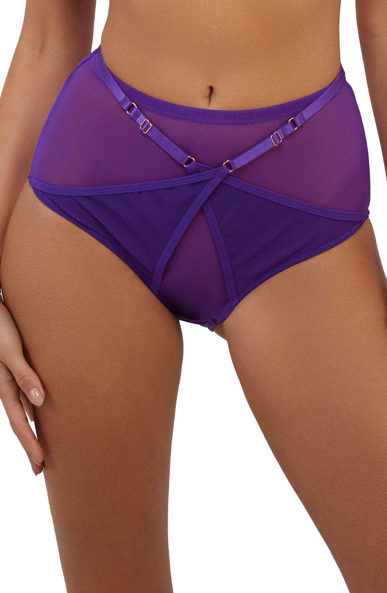 Playful Promises Eddie Crossover High Waist Briefs, Main, color,