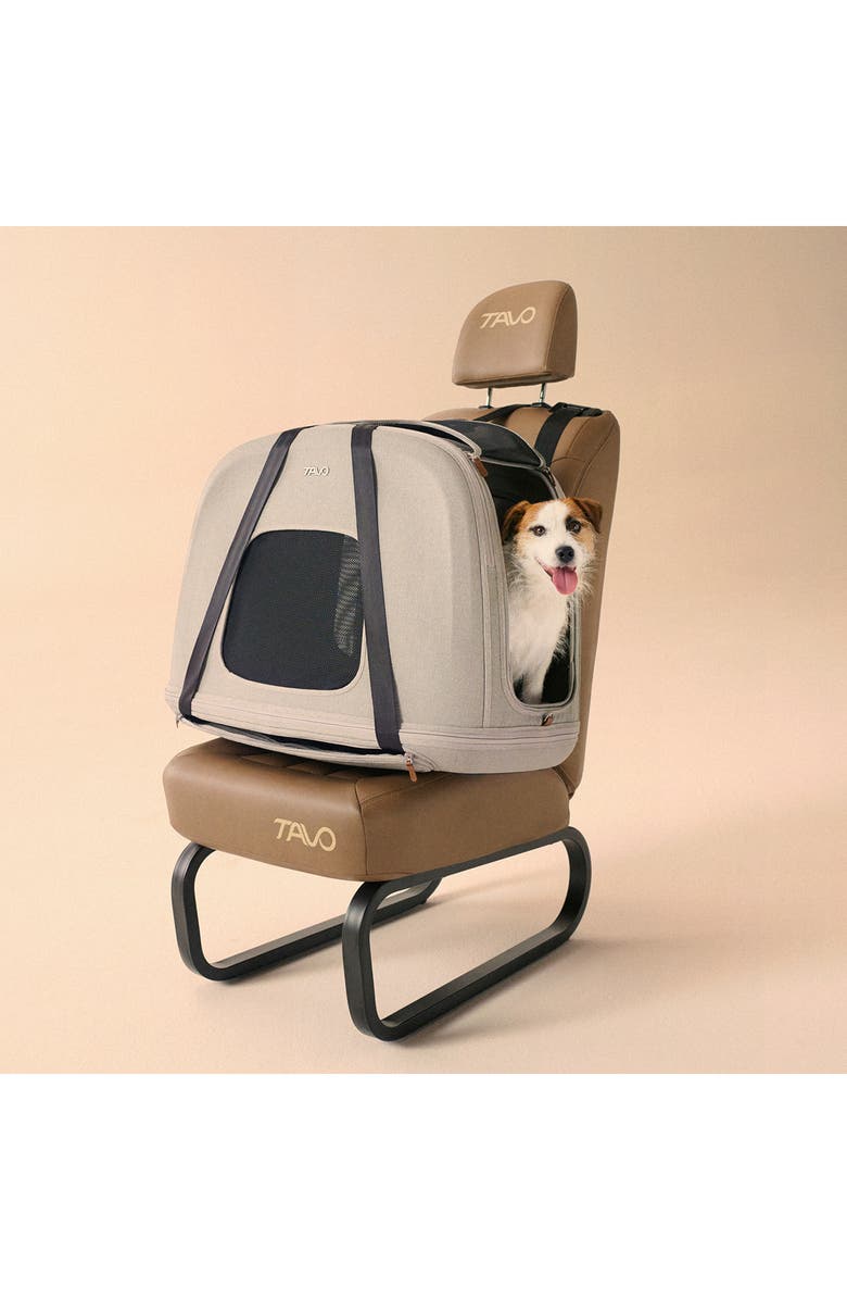 Crispin Medium Impact-Tested Pet Travel Crate