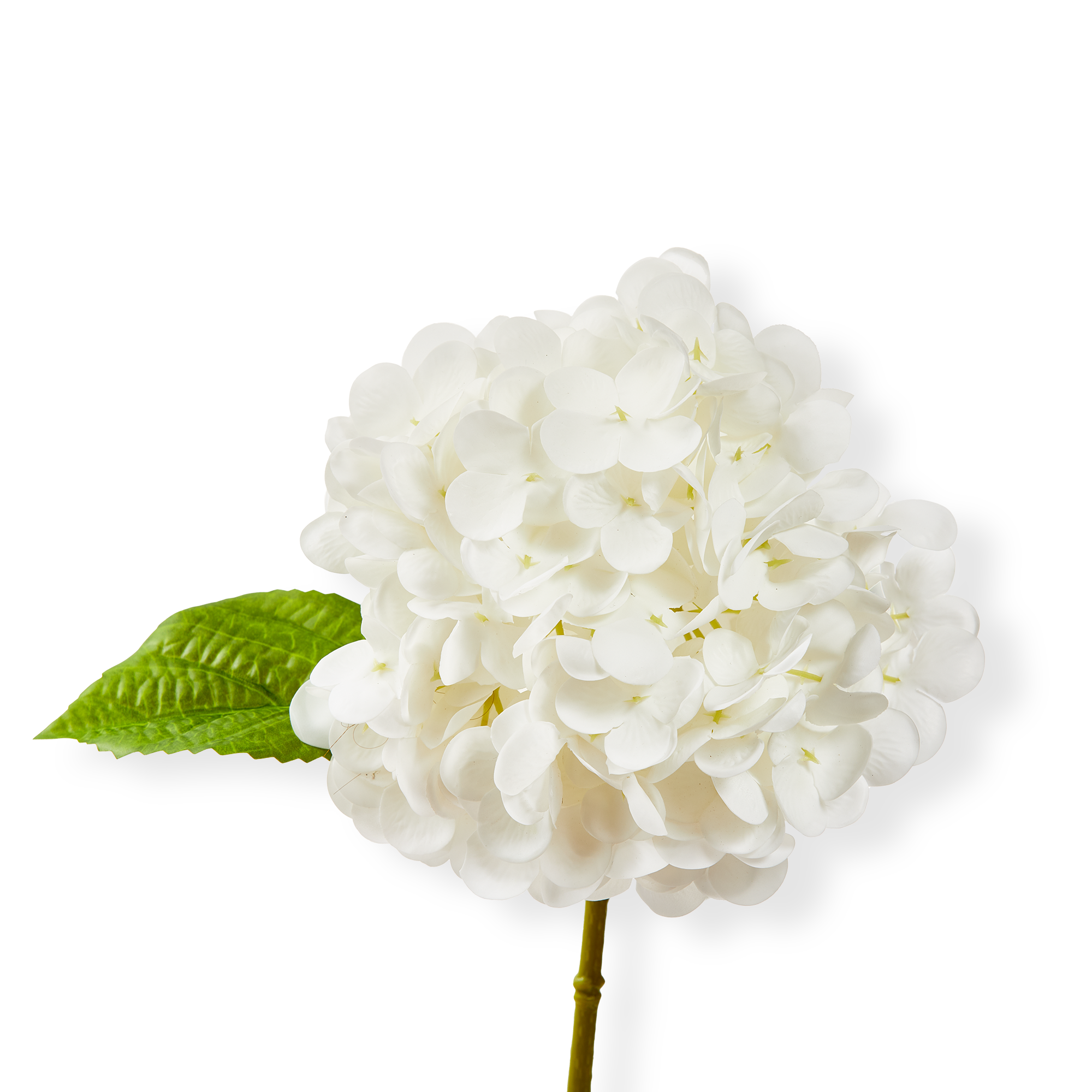 selected White