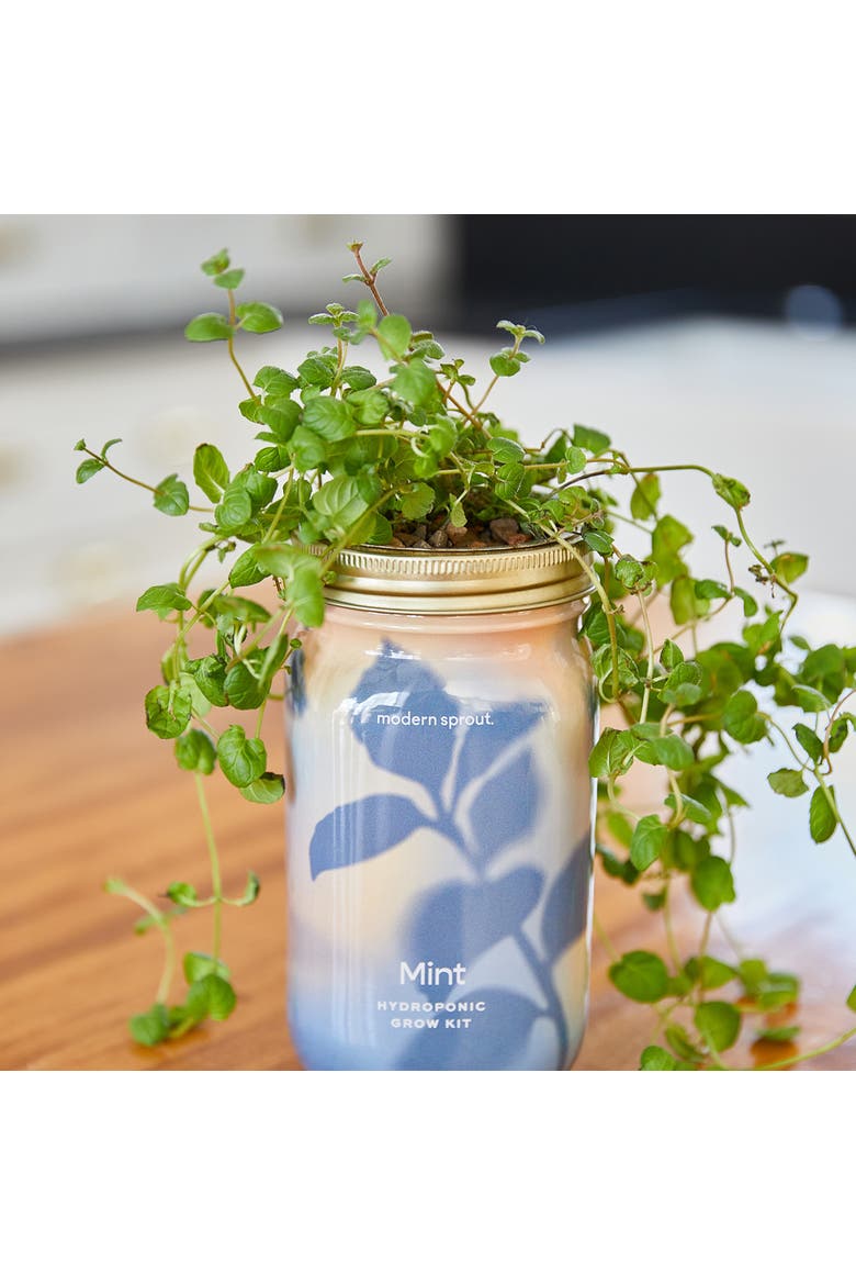 Garden Jar, Alternate, color, Mint