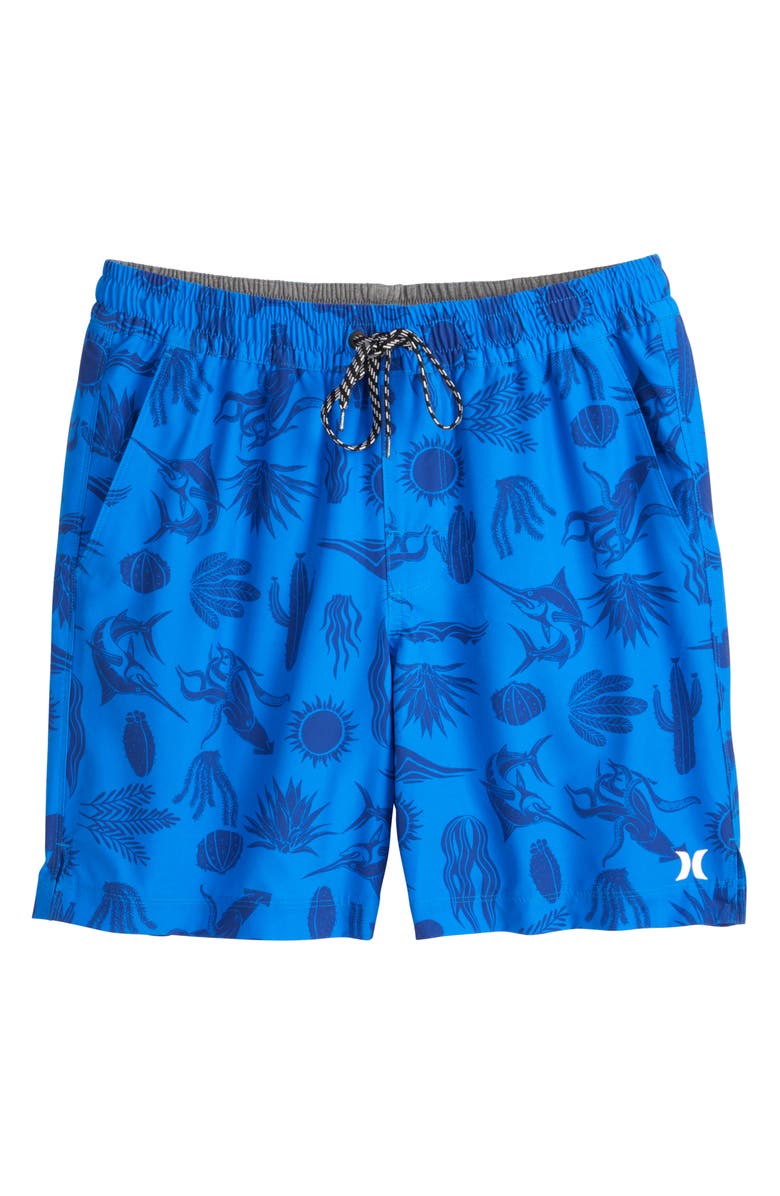 Hurley Danube Volley Swim Shorts, Main, color, Blue / White