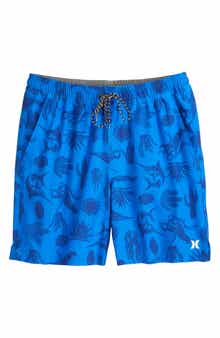 Hurley Danube Volley Swim Shorts