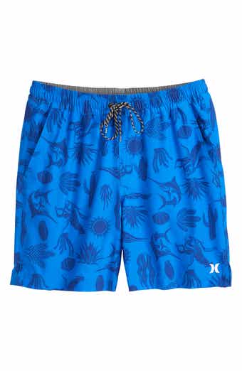 Hurley Danube Volley Swim Shorts