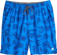 Hurley Danube Volley Swim Shorts