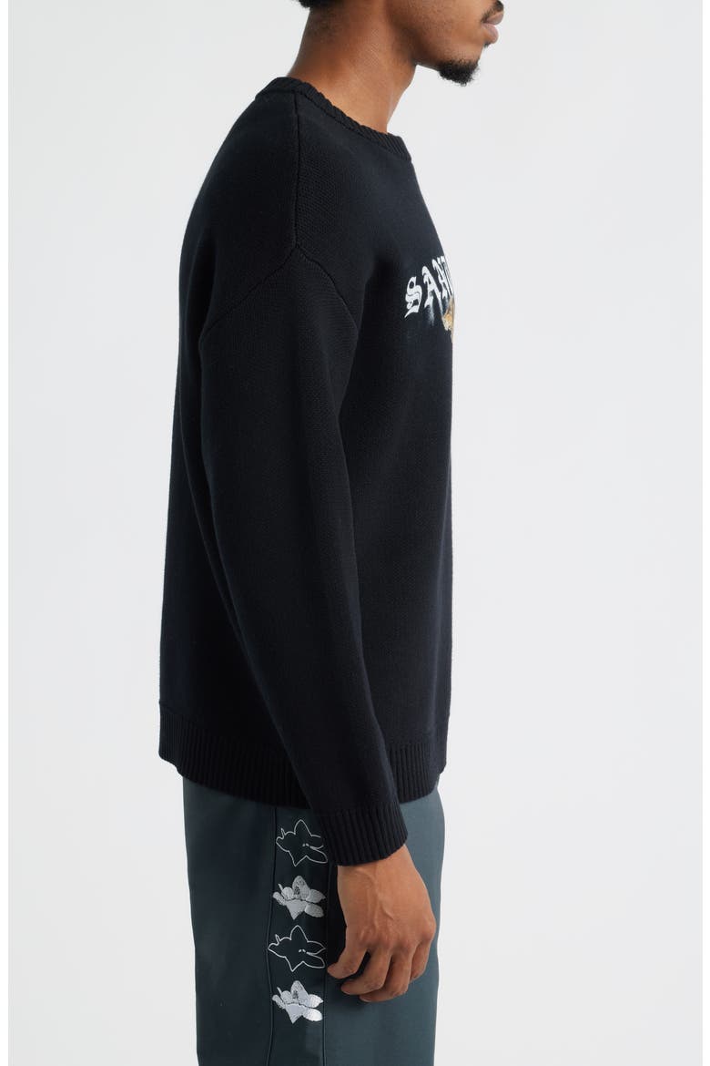 Blurry Dog Knit Sweater, Alternate, color, BLACK
