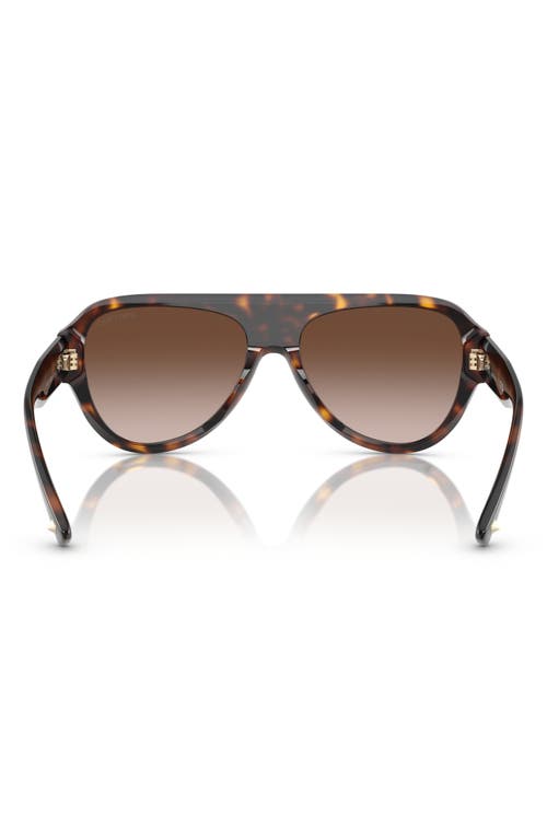 Jimmy Choo Eyewear Aviator Frame Sunglasses In Havana