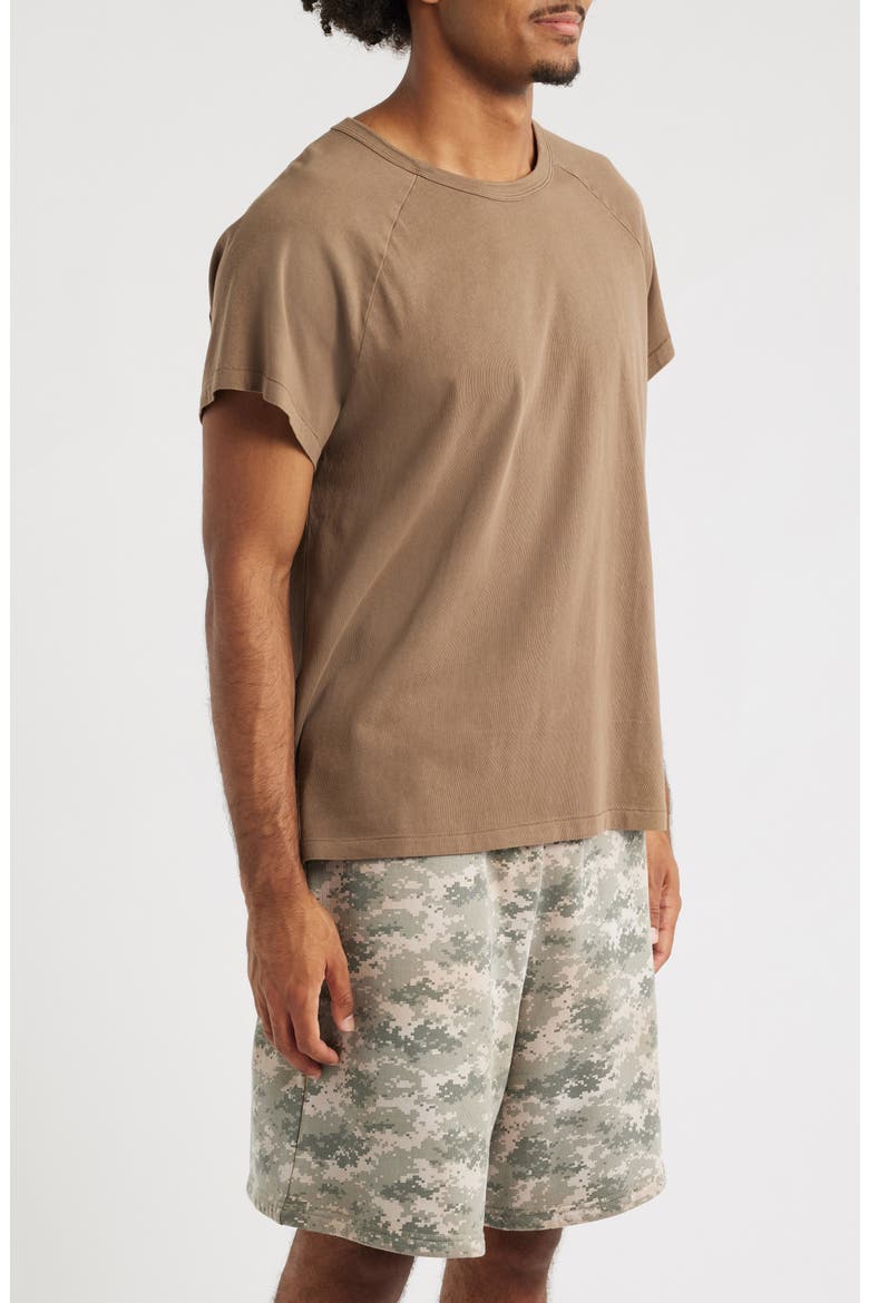 Raglan Sleeve T-Shirt, Alternate, color, BROWN