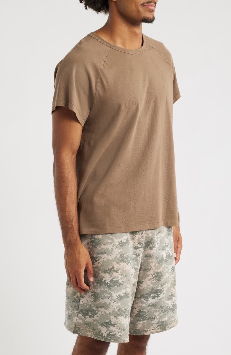 Elwood Raglan Sleeve T-Shirt, Alternate, color, Brown