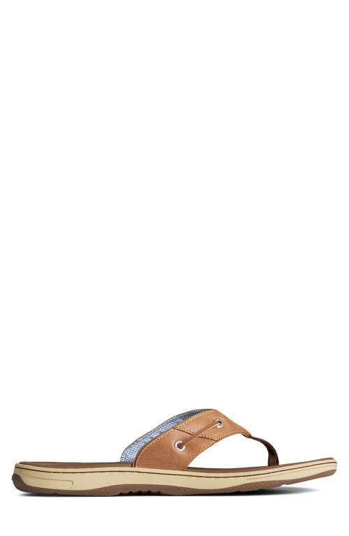 Sperry Baitfish Flip Flop In Brown