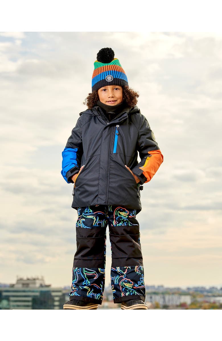 Deux par Deux Little Boy's Two Piece Snowsuit Black Printed Dinos, Alternate, color, 
