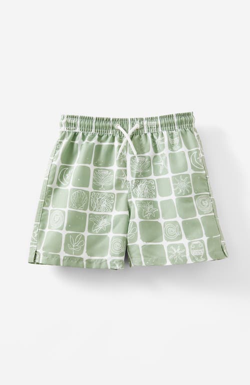 Cotton On Kids Kid's Bailey Board Short In Deep Sage Beach Tile