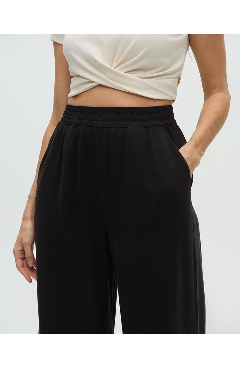 tentree Kaslo Pant, Alternate, color, Meteorite Black