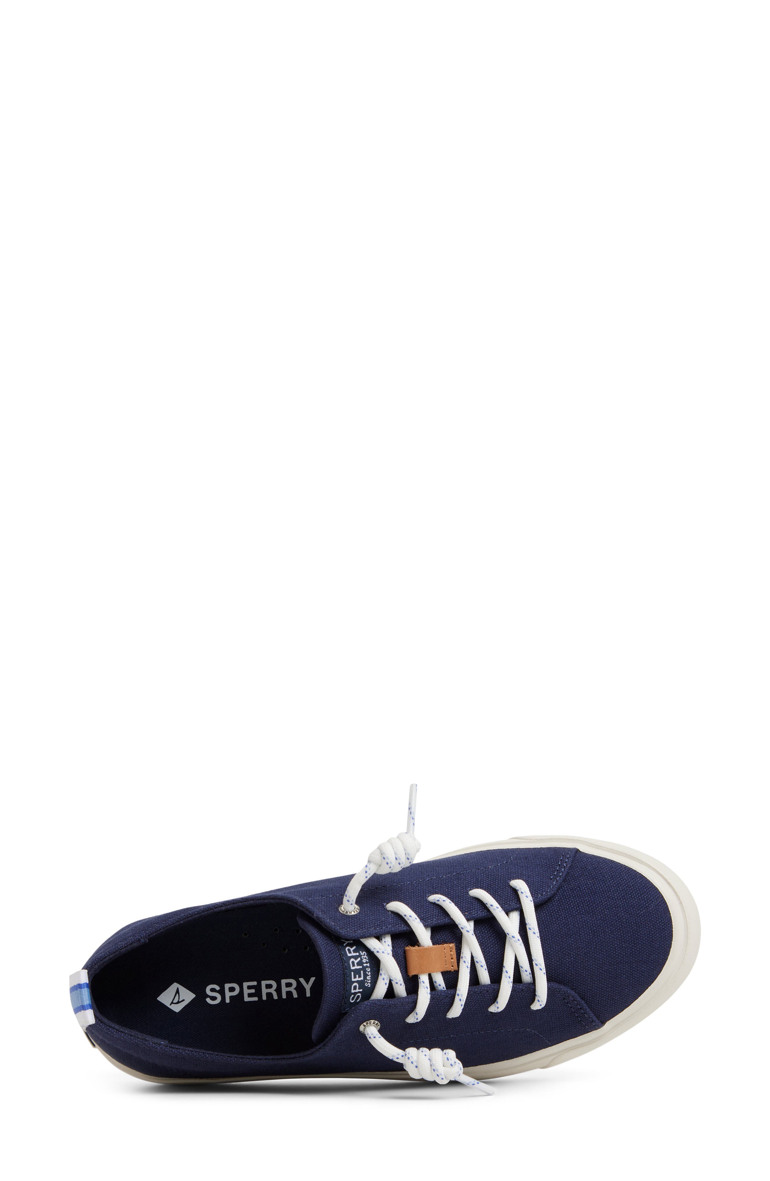 Sperry Cove Lace-to-Toe Sneaker, Alternate, color, Navy