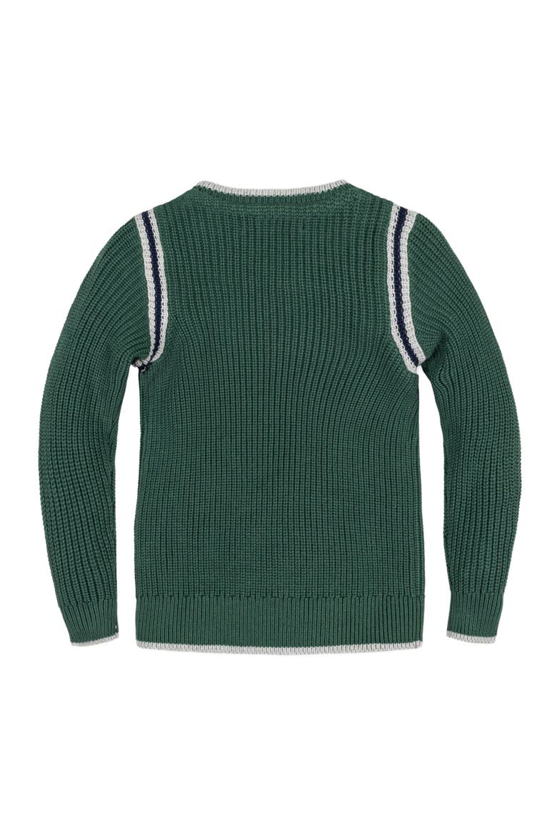 Baby Boys' Organic Sporty Crew Neck Sweater, Infant, Alternate, color, Collegiate Green
