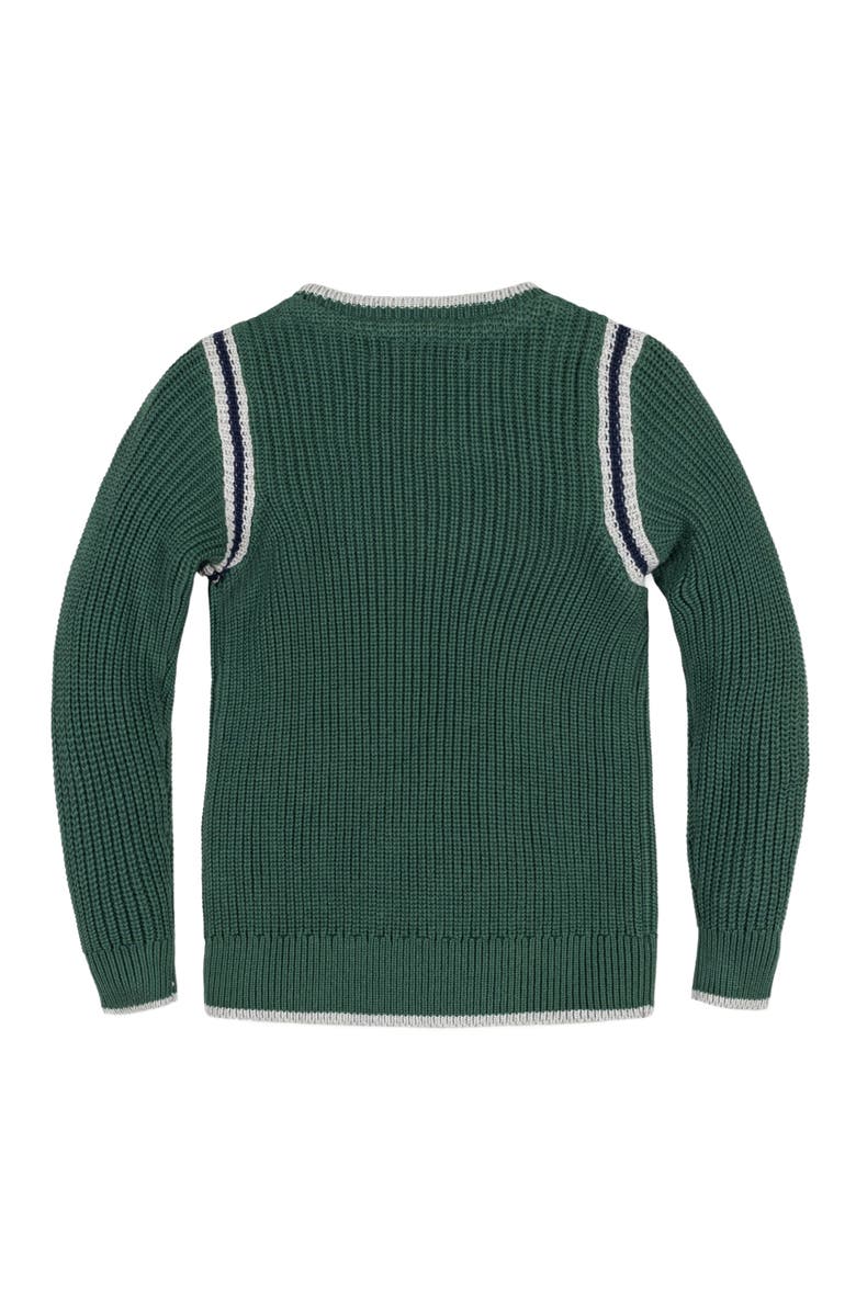 Hope 
Henry Baby Boys
 Organic Sporty Crew Neck Sweater, Infant, Alternate, color, Collegiate Green