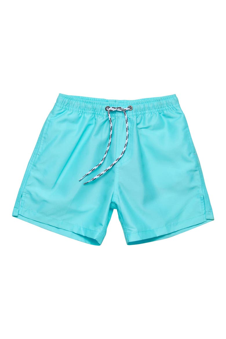 Kids' Aqua Comfort Lined UPF 50+ Swim Trunks, Main, color, BLUE