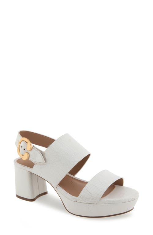 AEROSOLES AEROSOLES CAMERA PLATFORM SANDAL