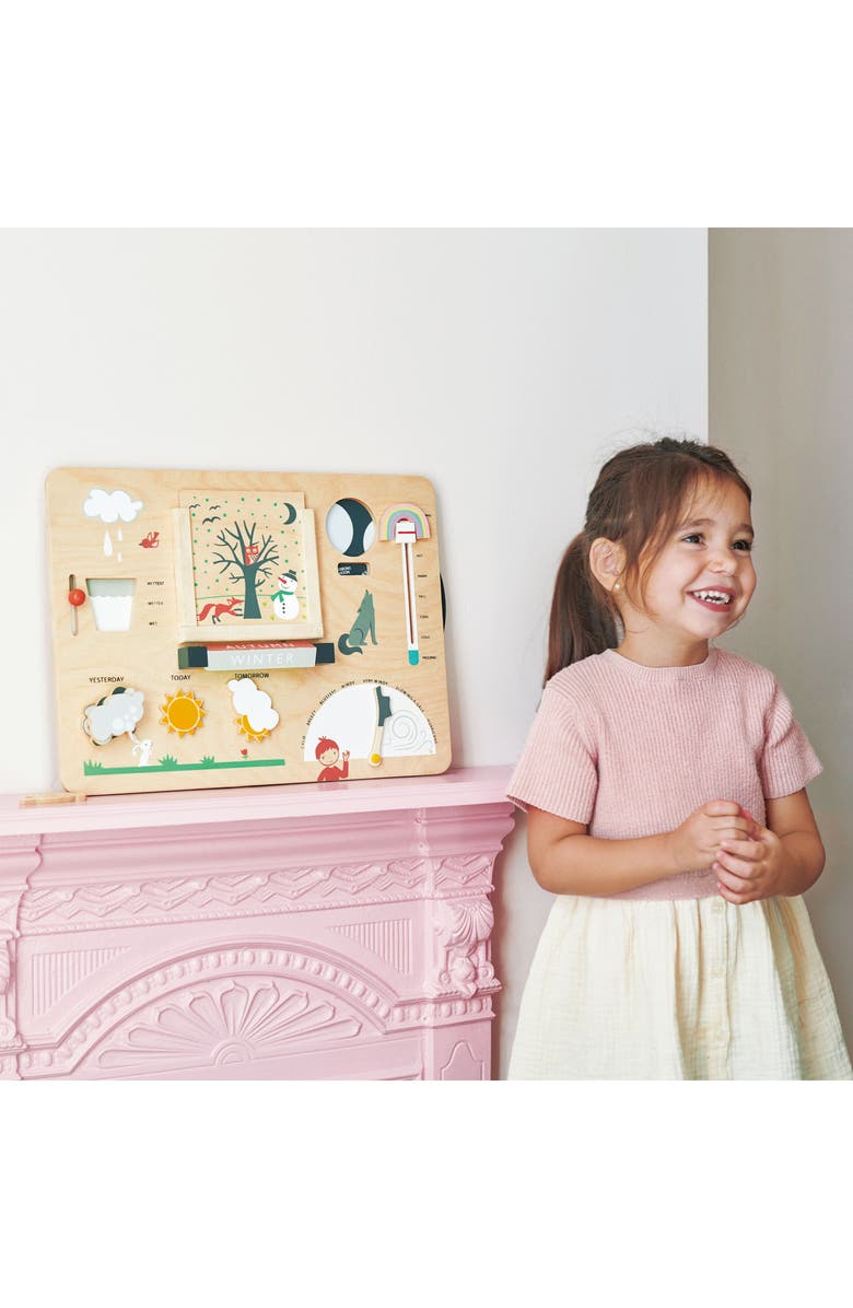 Tender Leaf Toys Weather Watch Board, Alternate, color, Multi