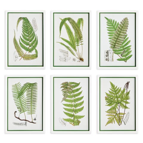 Layered Fern Prints Set of 6