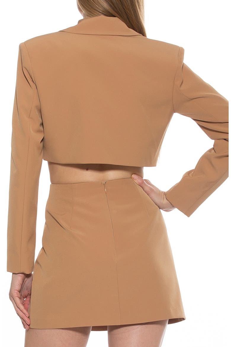Jane Cropped Long Sleeve Jacket, Alternate, color, NUDE