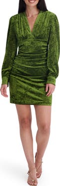 Siena Velvet V-Neck Long Sleeve Minidress