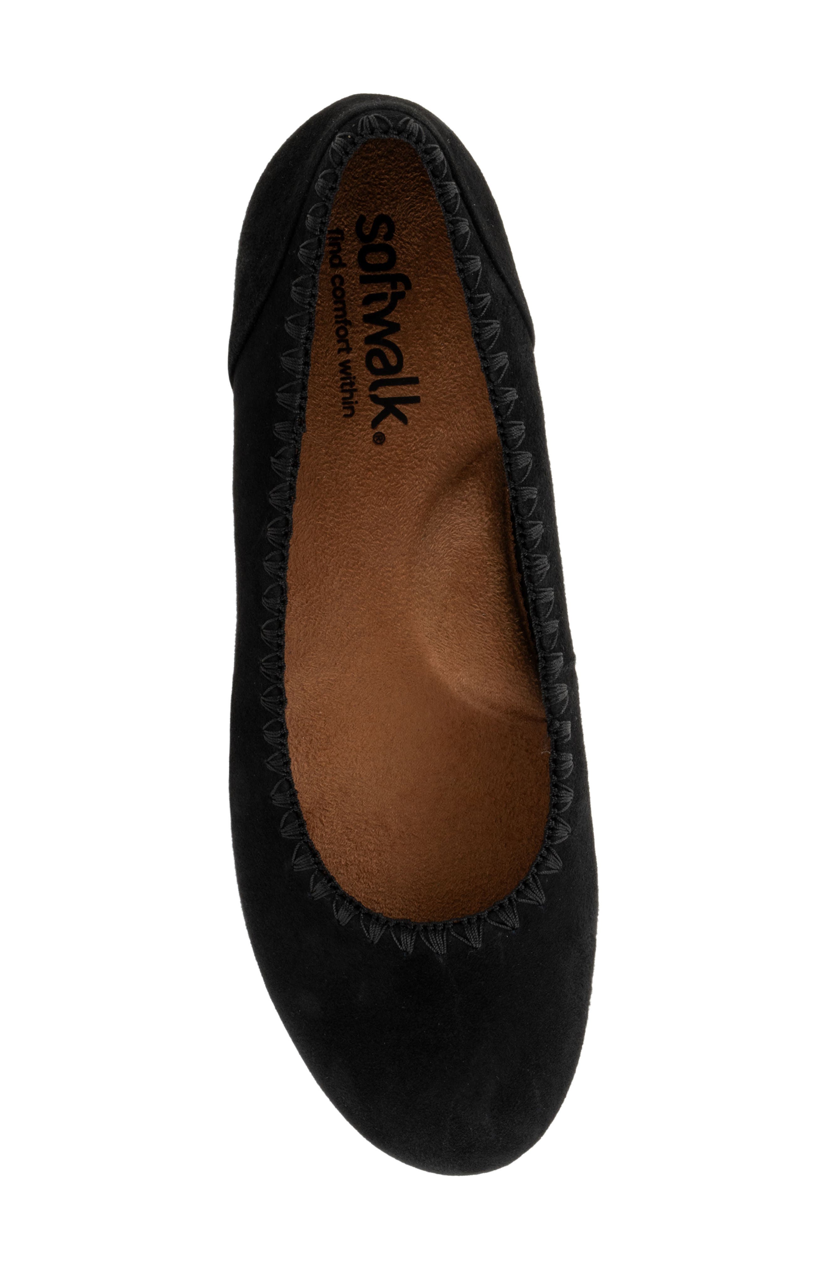 Sonoma Embroidered Ballet Flat, Alternate, color, BLACK SUEDE