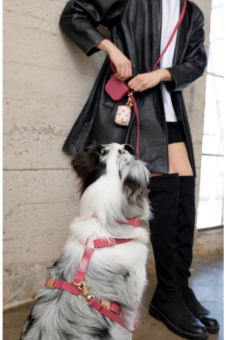 4-in-1 Convertible Hands Free Leash, Alternate, color, MULBERRY BURGUNDY