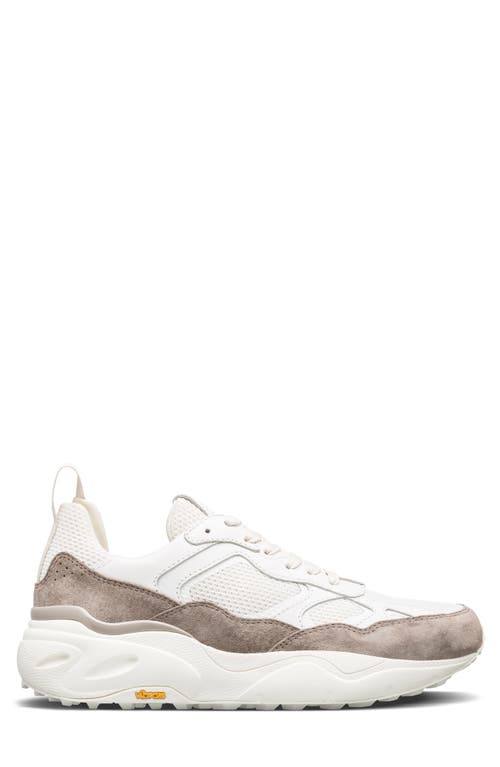 Clae Salazar Sneaker In Offwhite Cashmere