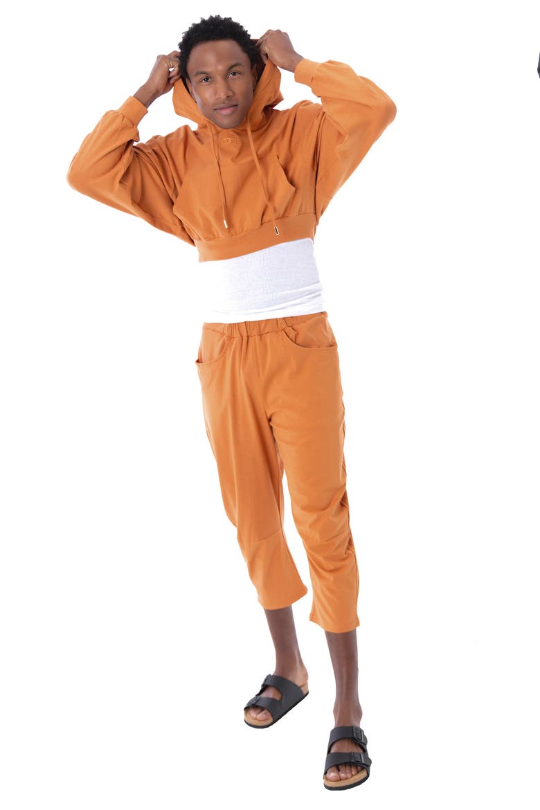 Tony Crop Leisure Pant, Alternate, color, Rust