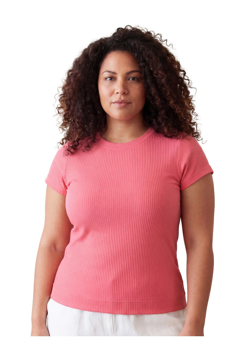 Curvy Basic Ribbed Knit Round Neck Short Sleeve Top, Main, color, Coral