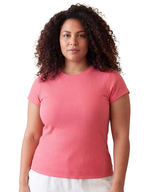 Curvy Basic Ribbed Knit Round Neck Short Sleeve Top
