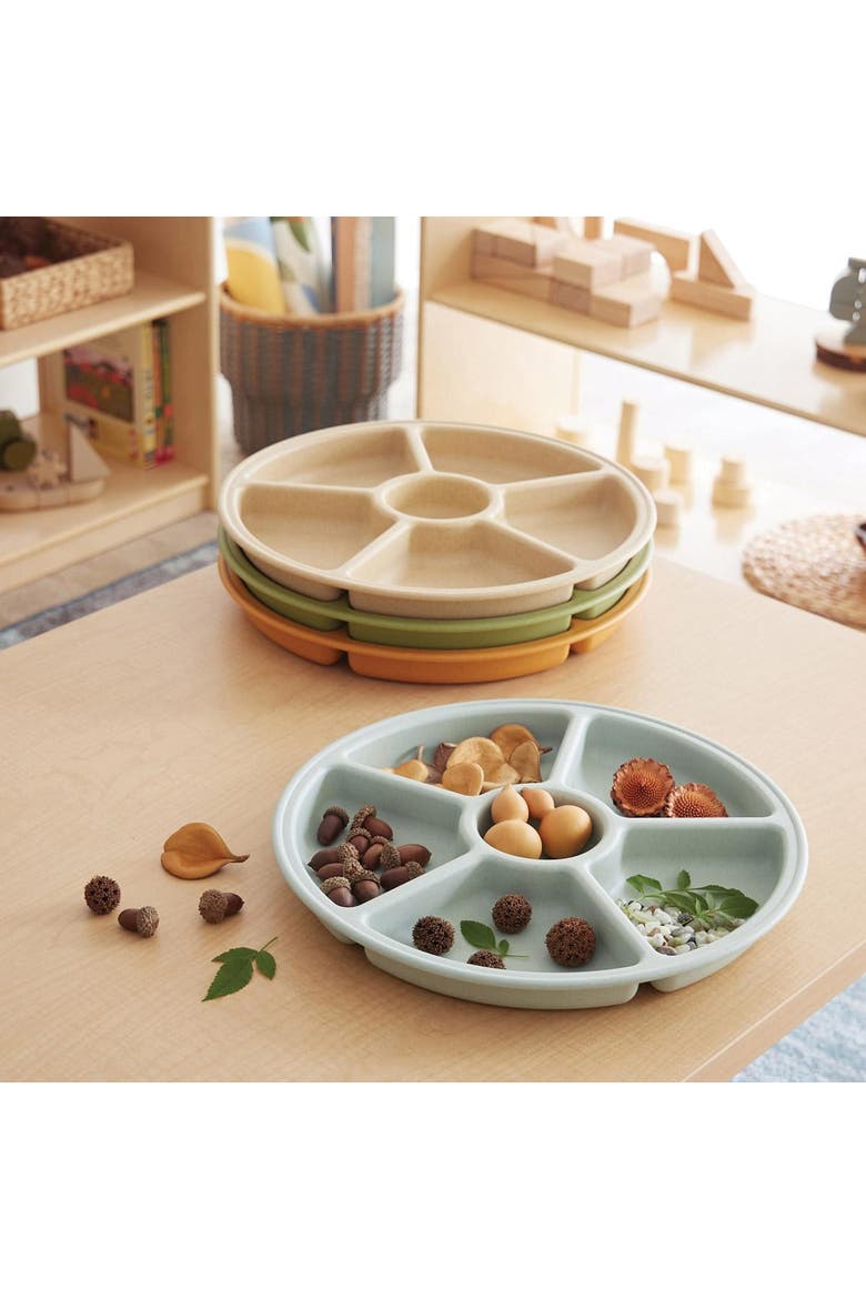 Loose Parts Sorting Trays - Set of 4 - Earth-toned, Alternate, color, Earth-Toned