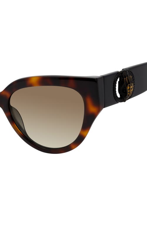 Kurt Geiger London 54mm Cat Eye Sunglasses In Havana/brown Gradient