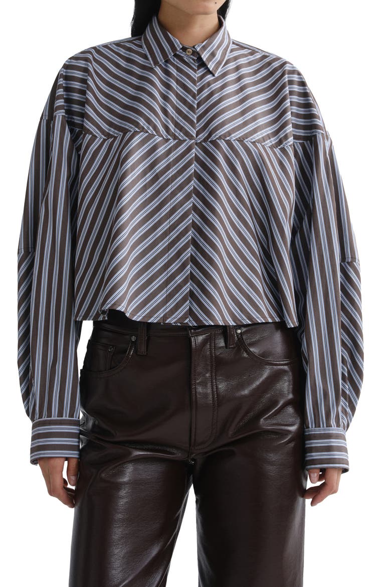 Agnes Striped Cropped Cotton Shirt, Alternate, color, MEYER STRIPE WHITE CHOCOLATE
